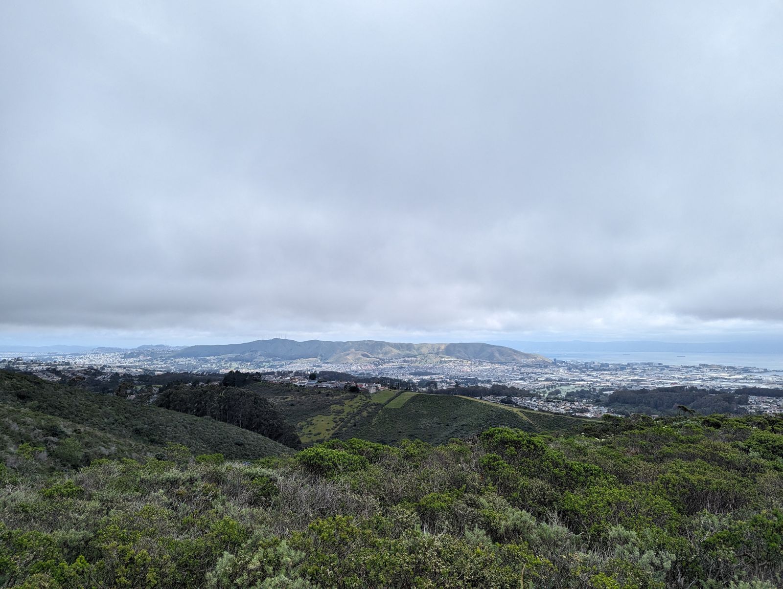 PXL_20240425_180706298.jpg