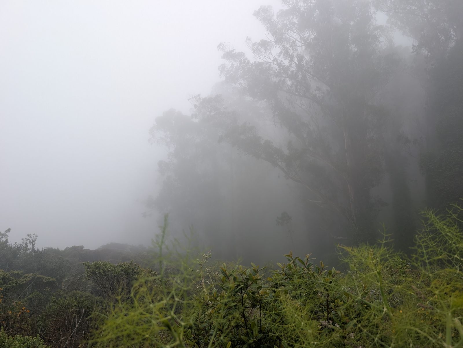 PXL_20260609_003200410.jpg