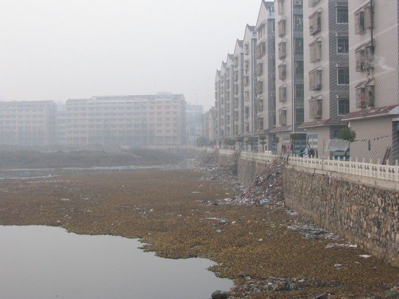 pondgarbage.jpg