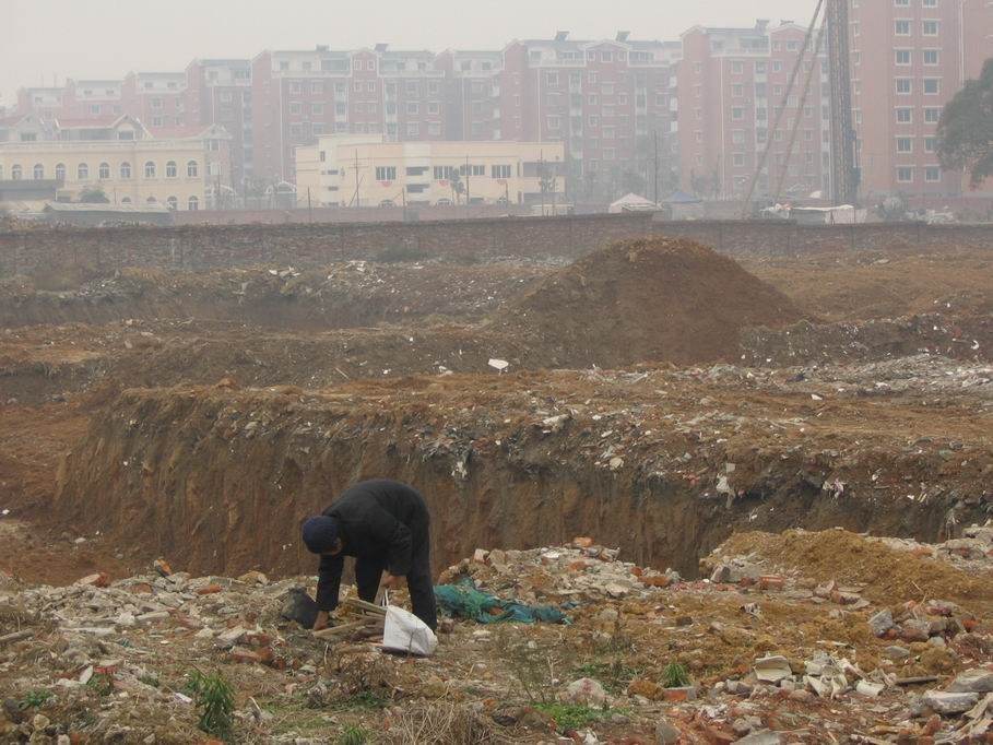 wasteland.jpg