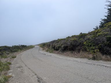PXL_20250815_195026840.jpg