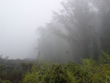 PXL_20260609_003200410.jpg