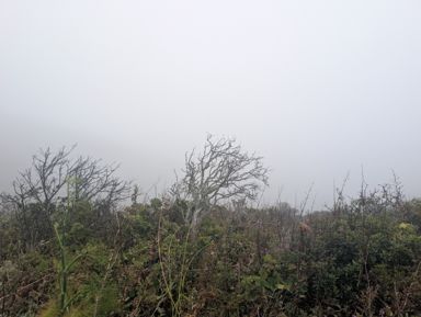 PXL_20260609_010407370.jpg